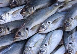 ���� ������� �������������� ����� - ����������� 1