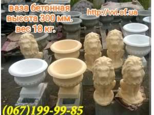 ���� �������� - ����������� 1