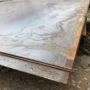 ���� �������� ����. ���� ���. ���� ������������. - ����������� 1