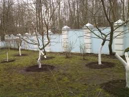 ���� ��������, ��������� ������. ��������� 18�-30� - ����������� 1