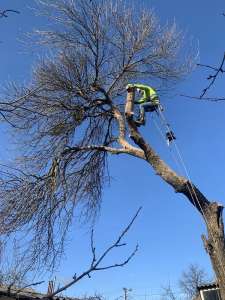 ���� ��������! ���������������� ���� ��������! - ����������� 1