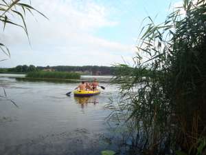 ���� ��������� ���� 30 �� �� ��� ���� �������� - ����������� 1