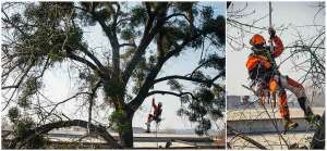 ���� ��������� �������� � �������� - ����������� 1