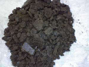 ���� ������������ �� ������������� - ����������� 1