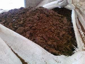 ���� ������������ �����-����������� - ����������� 1