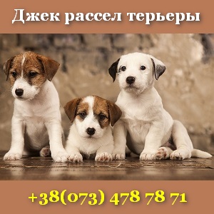 ����� 2018 ���� ������ ������� ������������ ���� - ����������� 1