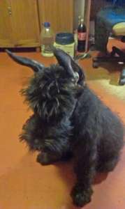 ����� - ����������� 1