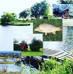 ����� � ������� ��� ��������� - ����������� 1