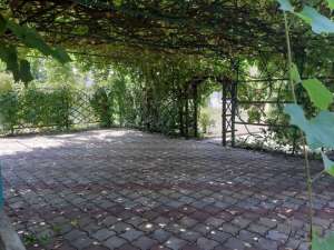 ����� �� ������ ��������� ���� � ���������, ����� ���! - ����������� 1