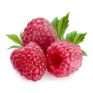 ����� ��� ����� ������, ������� ������ ������ - ����������� 1