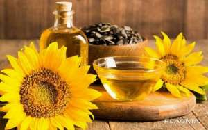 ����� ���, ������ ������������� ����� �� �������. - ����������� 1