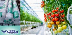 ����� ��� �������Vatan Plastik, ������. ����������� ����� ��� ������ 150 ��� - ����������� 1