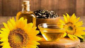 ����� ��� ����������� �볿. - ����������� 1