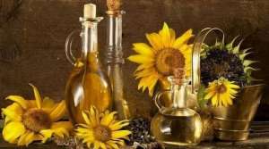 ����� ��� ����������� �볿 �����. - ����������� 1