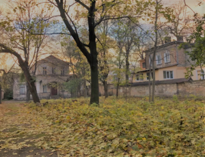 ����� ��� ������������� � ������ ������. ������ - ����������� 1