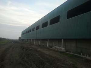 ����� ���� ����� ���������. - ����������� 1