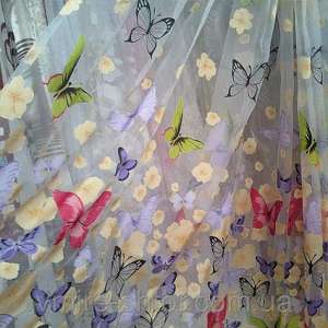 �����. ����. ���������� ���� - ����������� 1