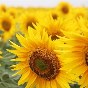 ����� ����� � ����. ������� � ��������� ����� ����� ������� � ���� - ����������� 1