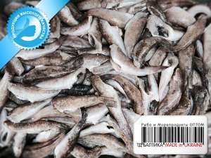 ����� ����� �� ����� (����������) �������������� ����� - ����������� 1