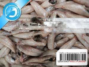 ����� ����� ��� ����� �������������� ����� - ����������� 1