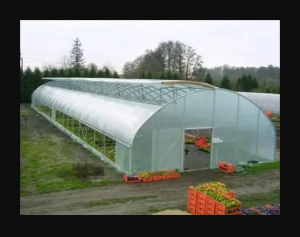 ����� ����� ��� ������� � ���������� Vatan Plastik - ����������� 1