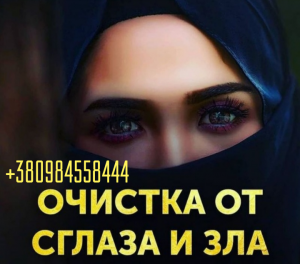 ����� ����� ����. ������ ���������� ������. ������� �� ��������. ����� ������ ����������� - ����������� 1