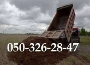 ����� �����. ��������� �������� ����� - ����������� 1