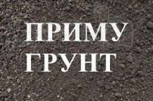 ����� �����. ��������� || �������� ������� - ����������� 1