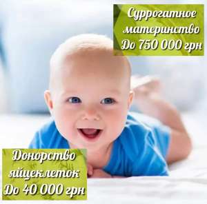 ����� ����� �����������. ��������� ���������.���������� ����������� - ����������� 1