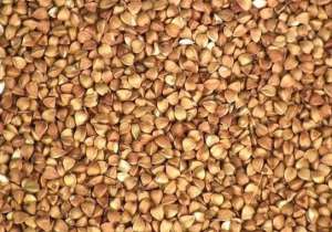 ����� ������ - ����������� 1