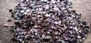 ����� ������ � ��������� �� ������. � ��� - ����������� 1