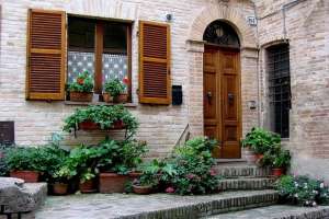 �����, ������ ��� ������ ��� �������, ������ ������������ - ����������� 1