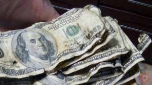 ����� ������ �����, ������ � ������� - ����������� 1