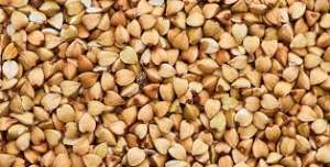 ����� ������. ������� ����� - ����������� 1