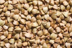 ����� ������, �������, ������ - ����������� 1