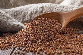 ����� ������. �������. ������ �� 5 ���� - ����������� 1