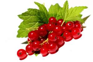 ����� ������, ��������� � ����� 2017, ������� ��������� ������ - ����������� 1