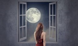 ����� ������ ���������. ������ ��������. - ����������� 1