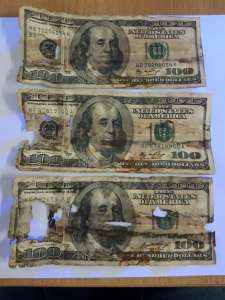 �����: ������ ��������� �������, ����������-����������� �����, ��������� ���� � ������ ������ - ����������� 1