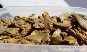 ����� ������� - ����������� 1