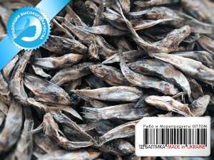 ����� ������� � ���� �� ������������� - ����������� 1