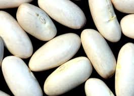 ����� ������� ��� ������ ���������� - ����������� 1