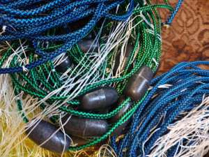 �����, �������, ����, ��������, �����, �� ����� ����� - ����������� 1