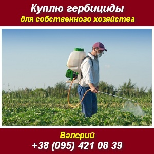 ����� ������� ��������, ����� ����������. - ����������� 1