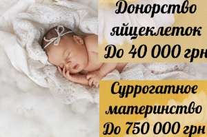 ����� ������� ����������. ��������. �HappyMama�. - ����������� 1