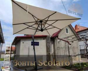 ����� ������� ����������� ����� Scolaro - ����������� 1