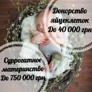 ����� ������� �����������. ��������� ������������ �����������, ��������� ���������� - ����������� 1