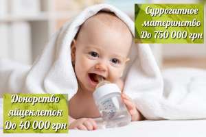 ����� ������� �����������.������������ �����������.���������� ���������� - ����������� 1