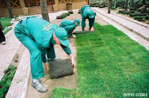 ����� �������� 35 ���.�.�� - ����������� 1