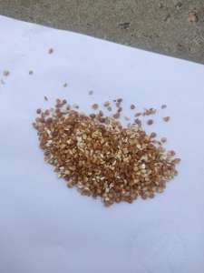 ����� �������� - ����������� 1